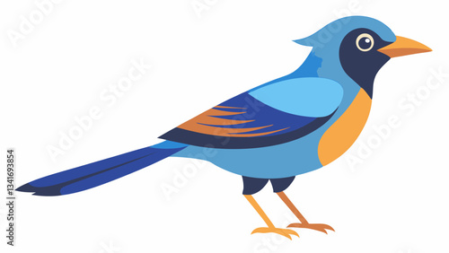 Bird on a White Background