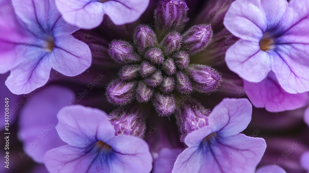 An intricate macro of a lavender blossom just before blooming, featuring tightly packed buds and soft violet petals surrounding the flower core — visually rich and textured.
An intricate macro of a lavender blossom just before blooming, featuring tightly packed buds and soft violet petals surrounding the flower core — visually rich and textured.
