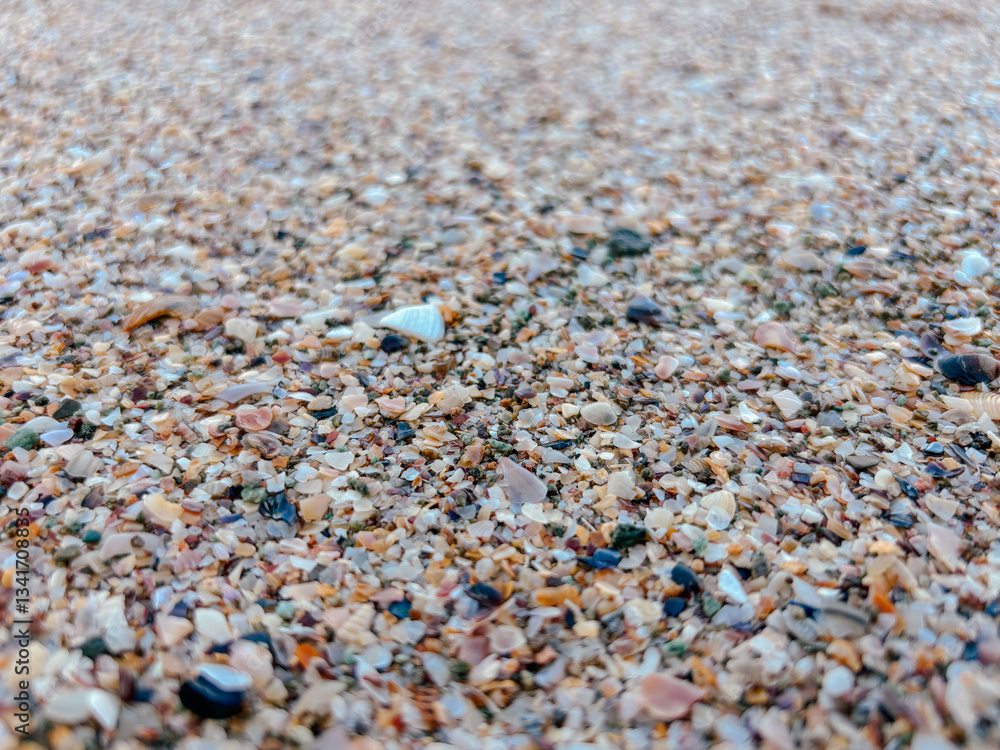Close up of colorful seashell fragments and pebbles on a sandy beach. Natural textures and coastal aesthetics Close up of colorful seashell fragments and pebbles on a sandy beach. Natural textures and coastal aesthetics