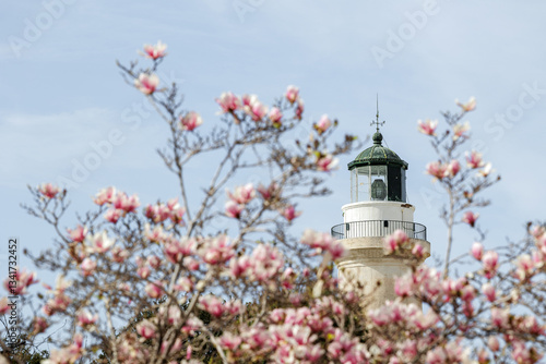 Fototapeta Naklejka Na Ścianę i Meble -  Spring period in the streets of Alexandroupolis Evros Greece, pink magnolia flowers near the Lighthouse, Greek English translation sign from the municipality, seaport and blue sky