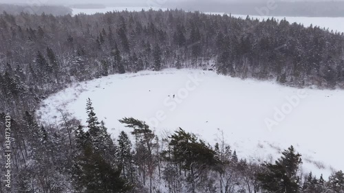 Wallpaper Mural Aerial Footage Capturing The Beauty Of A Snowy Forest, With Thick Snowfall Covering The Tree Canopies. The Scene Evokes A Sense Of Calm And Wonder In The Heart Of A Winter Wonderland. Torontodigital.ca