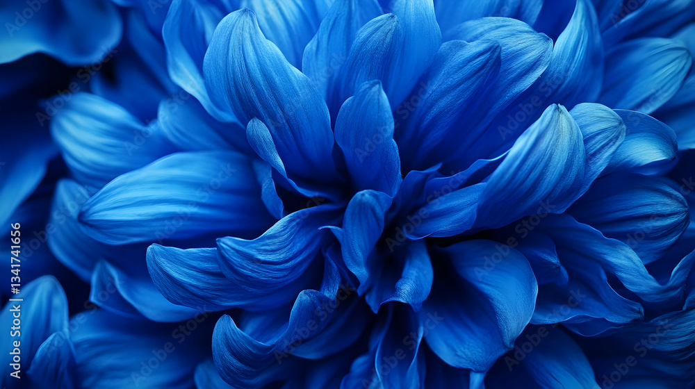 A stunning close-up of a deep blue dahlia with layered petals, creating a bold and elegant floral display.
A stunning close-up of a deep blue dahlia with layered petals, creating a bold and elegant floral display.