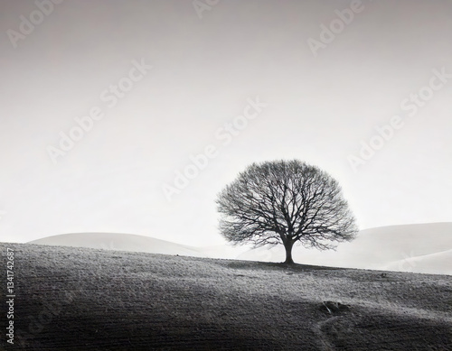 Obraz na płótnie Minimal landscape with only one tree. A solitary tree stands majestically in a black and white landscape, with rolling hills and a dramatic sky. for nature, landscape, and monochrome themes. w salonie