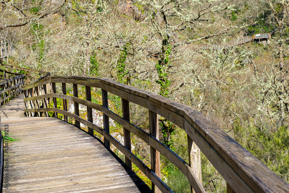 Fototapeta premium wooden footbridge on the river Mao, hiking route in Ribeira Sacra