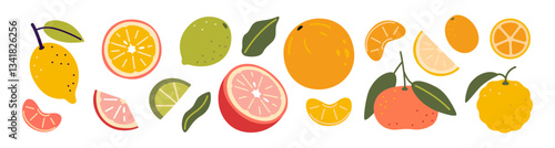 Set of colorful citrus fruits including lemons, oranges, limes, mandarins, yuzu and grapefruit slices. Modern vector illustration isolated on white background, hand drawn, flat design