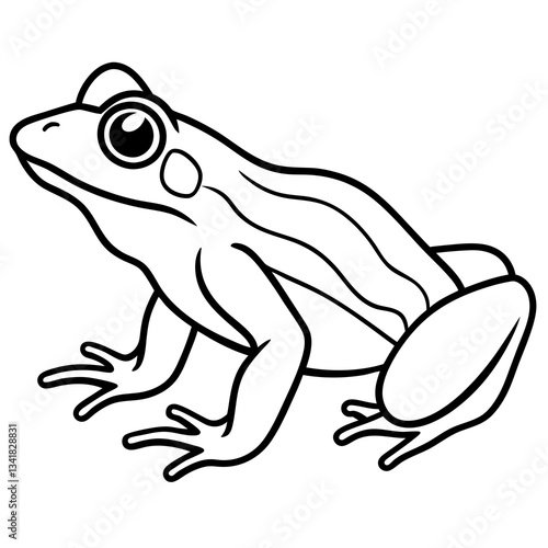 Elegant Frog Outline Illustration
