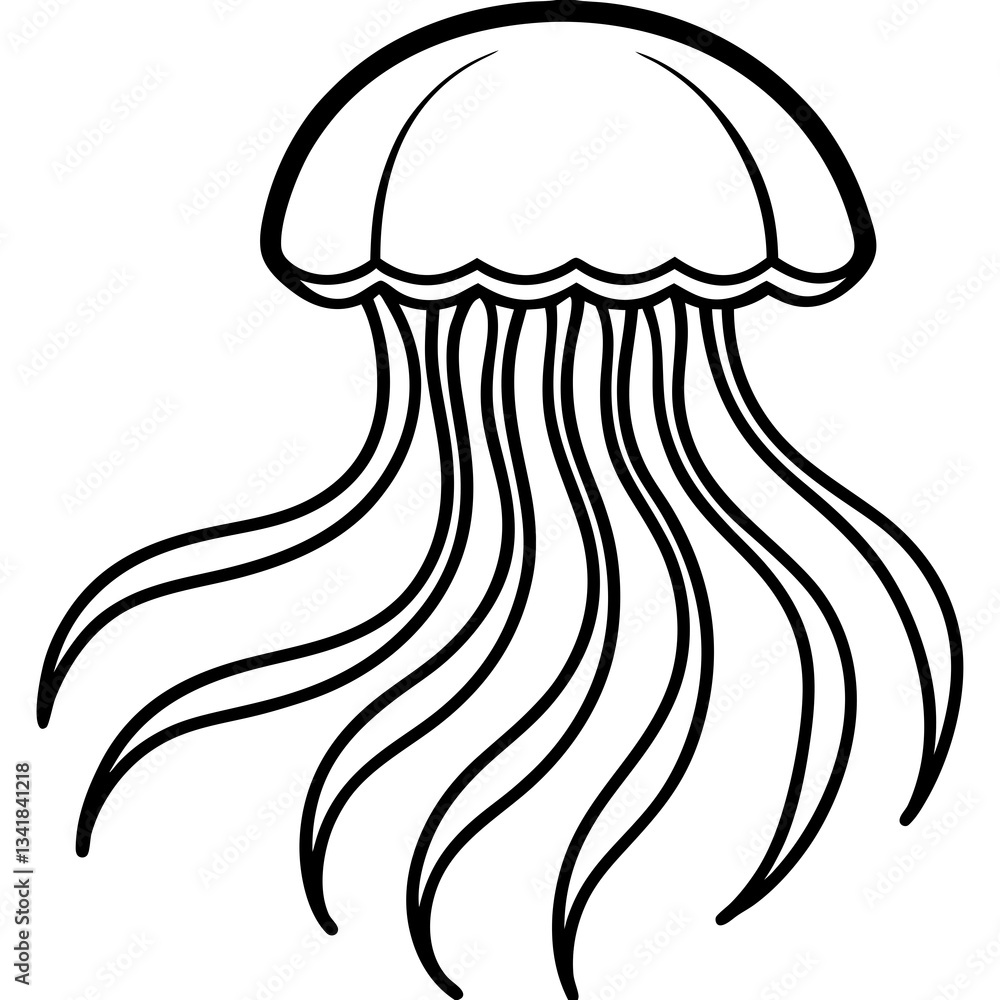 Elegant Jellyfish Outline Illustration Elegant Jellyfish Outline Illustration
