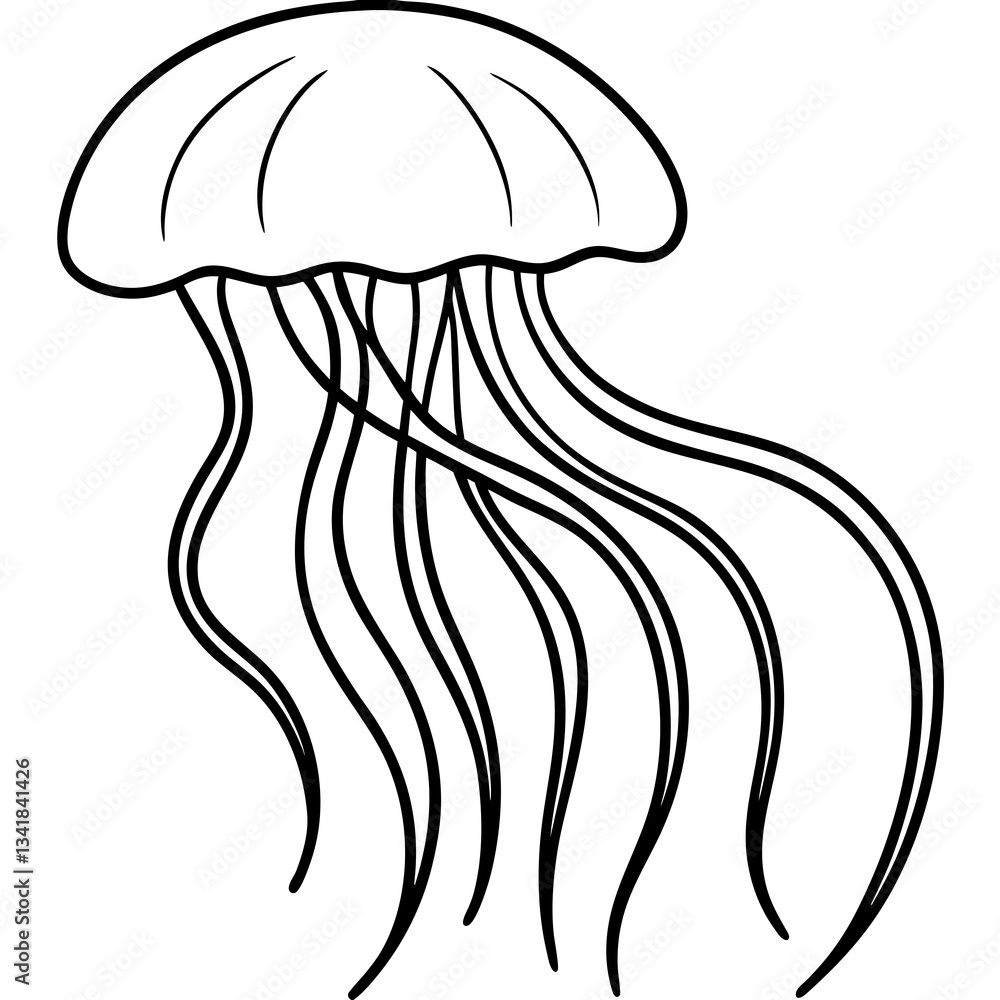 Elegant Jellyfish Outline Illustration Elegant Jellyfish Outline Illustration