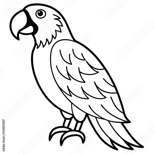 Elegant Macaw Outline Illustration