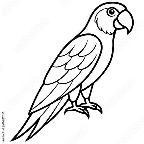 Elegant Macaw Outline Illustration