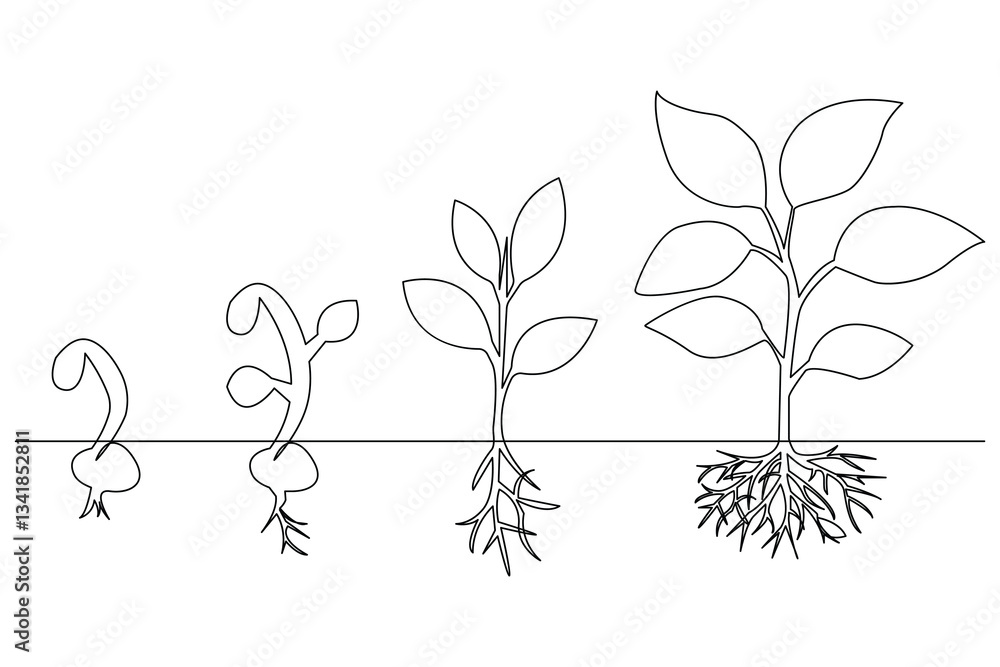 Growth plant online drawing of a plant outline vector art black white background
Growth plant online drawing of a plant outline vector art black white background