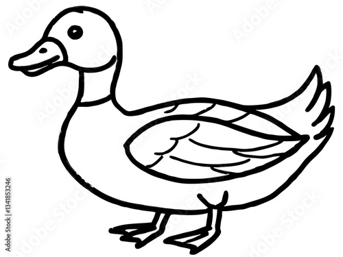 kids crayon drawing duck,duck outline illustration