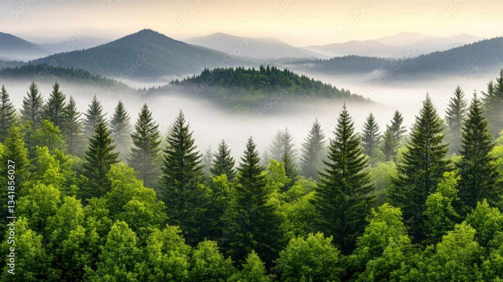 Fototapeta premium Vast green forest landscape with misty mountains during early morning light in serene nature setting