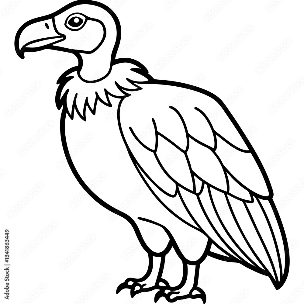 Fototapeta premium Elegant Vulture Outline Illustration
