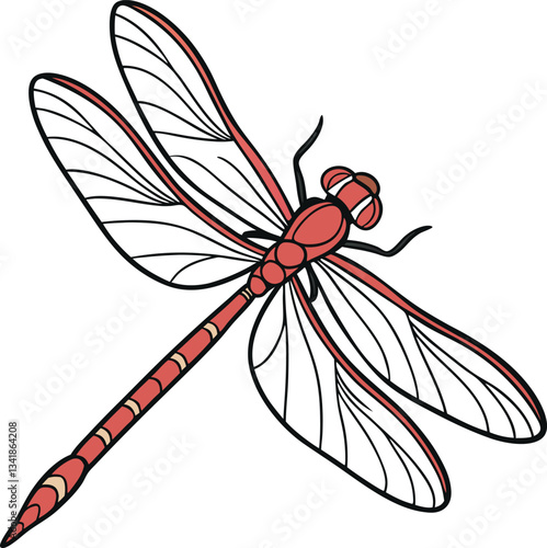 dragonfly