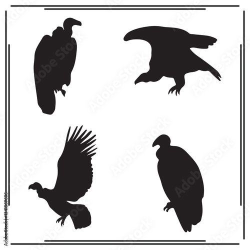 Condor silhouette, Condor illustration ,Condor clipart, Condor vector , Condor icon , black Condor , Condor illustration on white background, Condor vector illustration ,