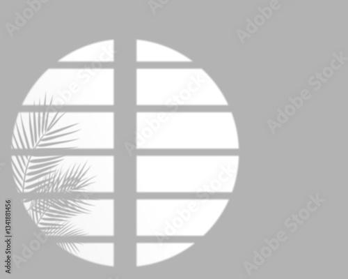 Shadow of Palm Leaves on a Circular Window