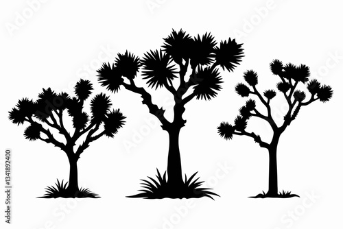 differences styles of joshua tree line art silhouette vector illustration
