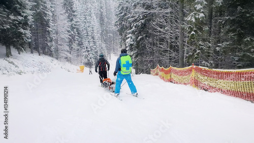 Mountain rescuers transporting an injured skier, going downhill after first aid. Slope rescue, ski patrol service evacuating the victim on a special sledge. Bukovel ski resort, ukraine carpathians.