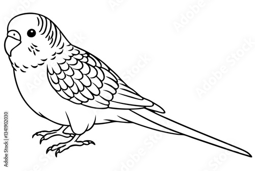 budgerigar budgie line art silhouette vector illustration