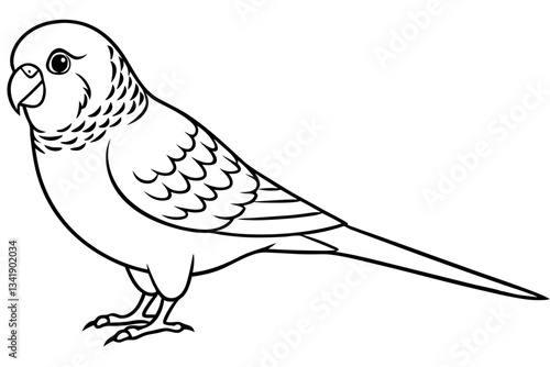 budgerigar budgie line art silhouette vector illustration