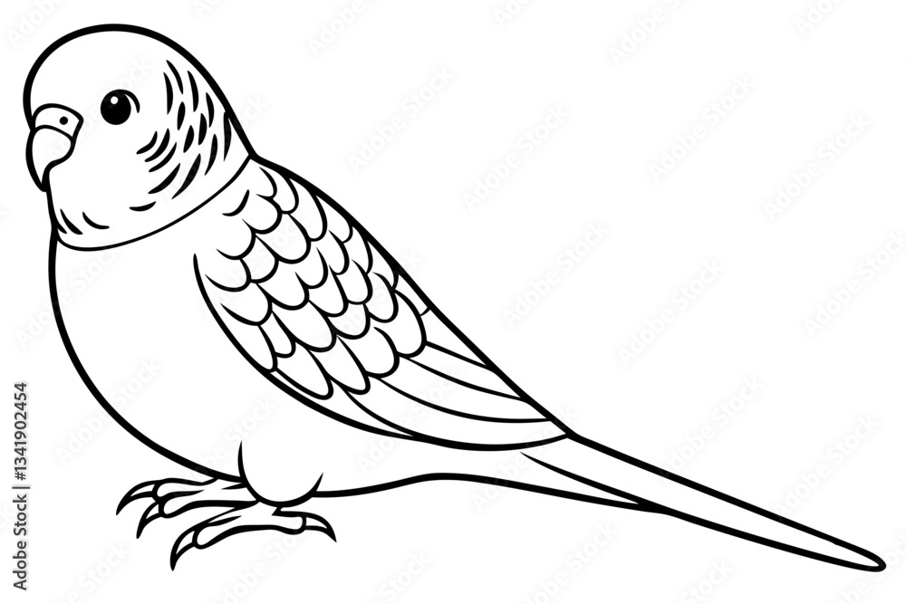 Fototapeta premium budgerigar budgie line art silhouette vector illustration