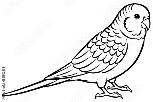 budgerigar budgie line art silhouette vector illustration