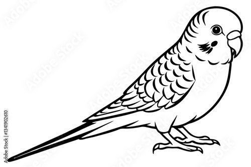 budgerigar budgie line art silhouette vector illustration