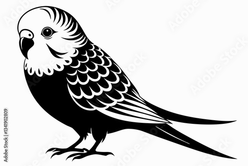 budgerigar budgie line art silhouette vector illustration