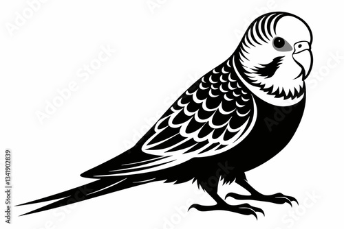 budgerigar budgie line art silhouette vector illustration