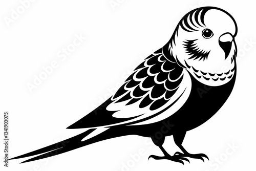 budgerigar budgie line art silhouette vector illustration