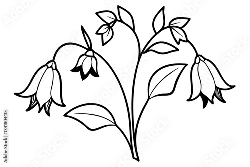 canterbury bells flower line art silhouette vector illustration