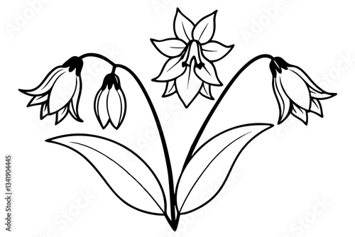 canterbury bells flower line art silhouette vector illustration