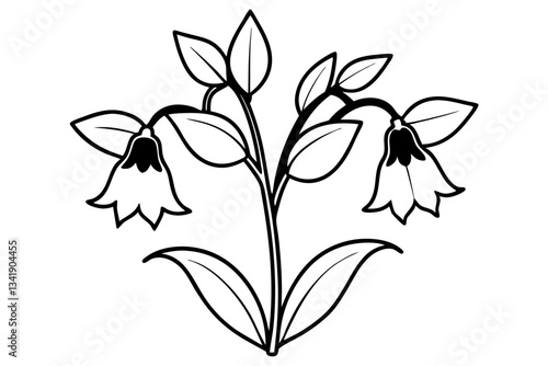 canterbury bells flower line art silhouette vector illustration