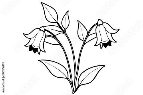 canterbury bells flower line art silhouette vector illustration