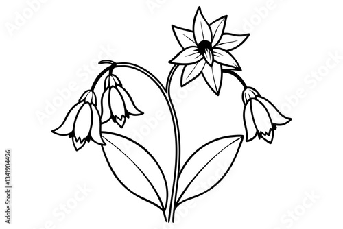 canterbury bells flower line art silhouette vector illustration