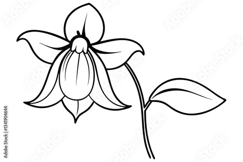 canterbury bells flower line art silhouette vector illustration