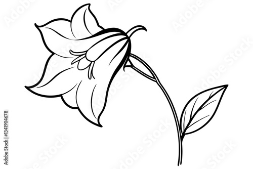 canterbury bells flower line art silhouette vector illustration