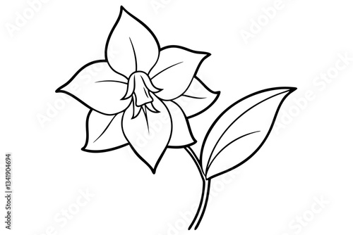 canterbury bells flower line art silhouette vector illustration