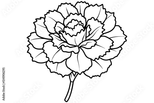 carnation flower line art silhouette vector illustration
