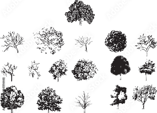 Side view tree line drawing, oak and tropical tree