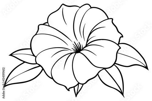 morning glory flower line art silhouette vector illustration