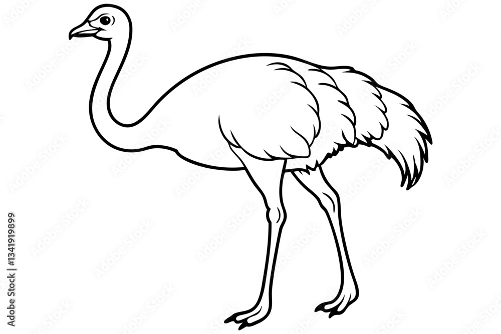ostrich line art silhouette vector illustration ostrich line art silhouette vector illustration