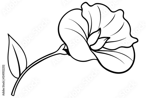 sweet pea flower line art silhouette vector illustration