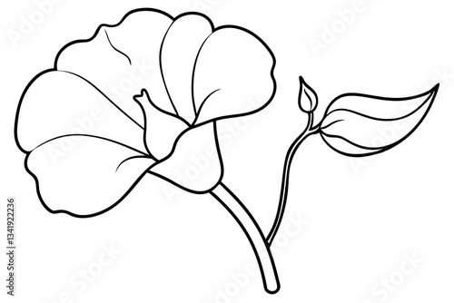 sweet pea flower line art silhouette vector illustration