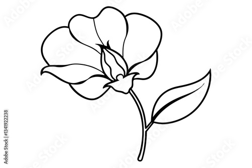 sweet pea flower line art silhouette vector illustration