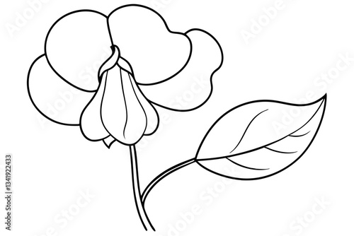 sweet pea flower line art silhouette vector illustration