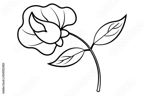 sweet pea flower line art silhouette vector illustration