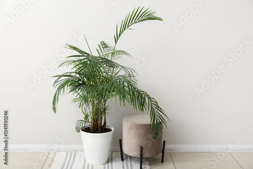 Palm tree and pouf near lig...