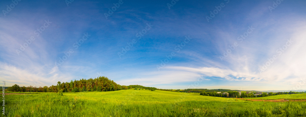 Panoramic photo of spring green field. Panoramic photo of spring green field.